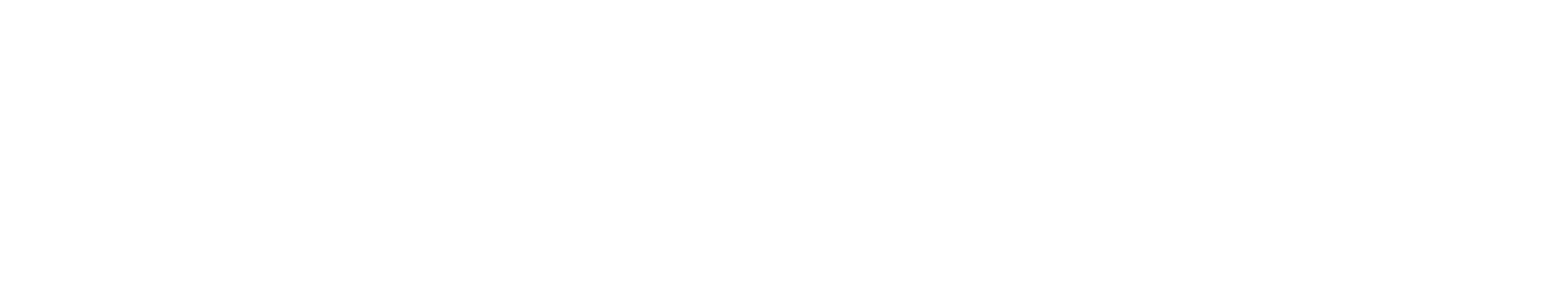 Insubux logo